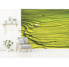 Fototapeta vliesová Thajsko 340x254 cm
