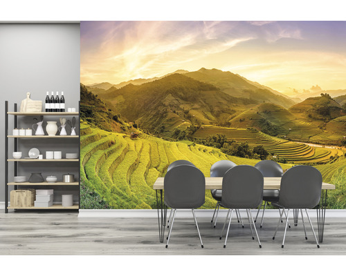 Obývací pokoj s fototapetou zobrazující zelenou horskou krajinu s rýžovými terasami, doplněný regálem a jídelním stolem se židlemi.