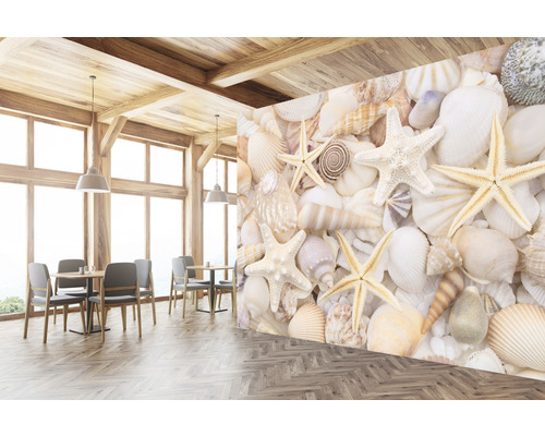 Návrh interiéru s fototapetou s motivem mušlí a hvězdic