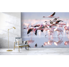 Fototapeta vliesová Plameňáci 340x254 cm