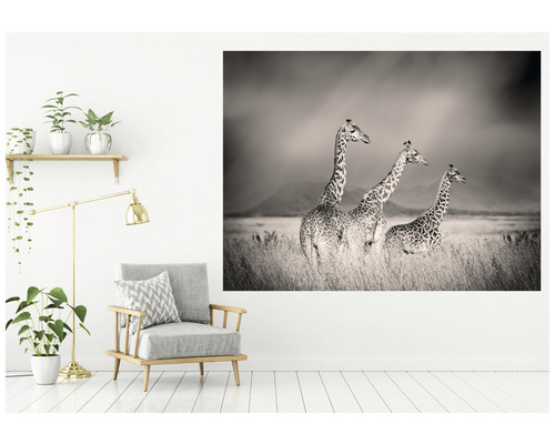 Dekorativní stěna s černobílou fotografií tří žiraf ve stepi, doplněná křeslem, stojací lampou a pokojovými rostlinami.