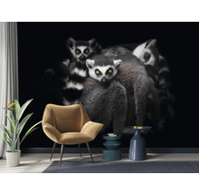 Fototapeta vliesová Lemuři 340x254 cm