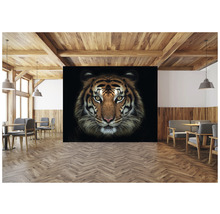 Fototapeta vliesová Tygr 340x254 cm