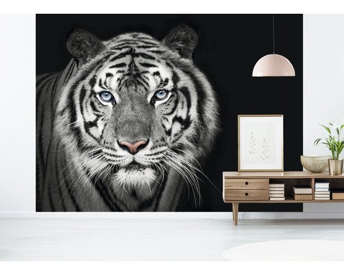 Stěna s fototapetou tygra v černé a bílé barvě.