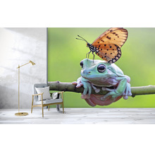 Fototapeta vliesová Žába 340x254 cm