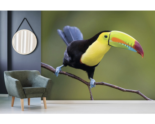 Obývací pokoj s křeslem, zrcadlem a fototapetou s tukanem na větvi