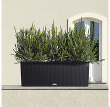 Černý truhlík s rostlinami před stěnou domu