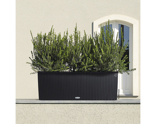 Černý truhlík s rostlinami před stěnou domu