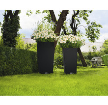 Dva květináče s rostlinami v zahradě.