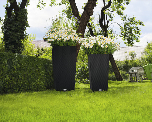 Dva květináče s rostlinami v zahradě.