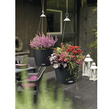 Dva závěsné květináče s květinami na terase.