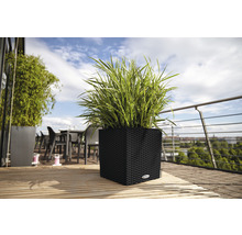 Rostlina v hranatém proutěném květináči na dřevěné terase