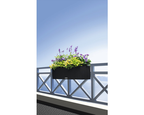 Truhlík s květinami na balkonovém zábradlí