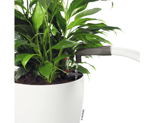 Pokojová rostlina se zavlažovacím systémem v květináči