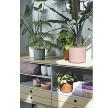 Obal na květináč plastový elho b. for soft Ø 16 cm růžový