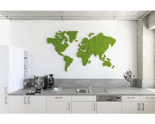 Světlá kancelář s mechovou mapou světa na zdi, kuchyňská linka s dřezem a kávovarem