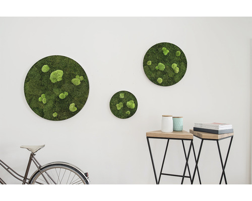 Nástěnná dekorace s mechovými obrazy kulatého tvaru, jízdní kolo a odkládací stolky ve světlé místnosti.