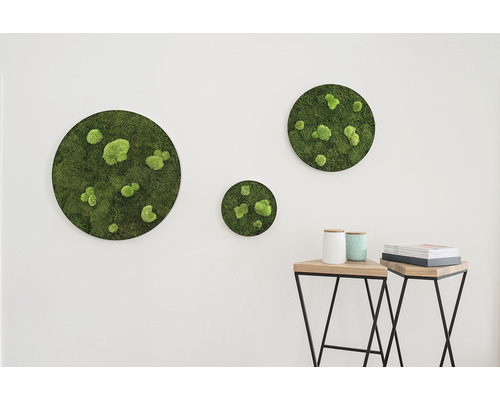 Nástěnná dekorace s mechem ve třech různých velikostech nad dvěma odkládacími stolky.
