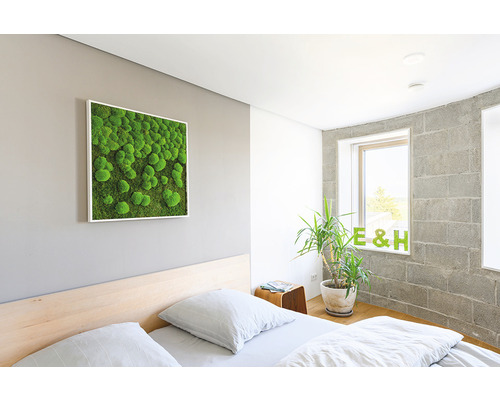 Ložnice s mechovým obrazem na zdi, postelí a hrnkovou rostlinou u okna