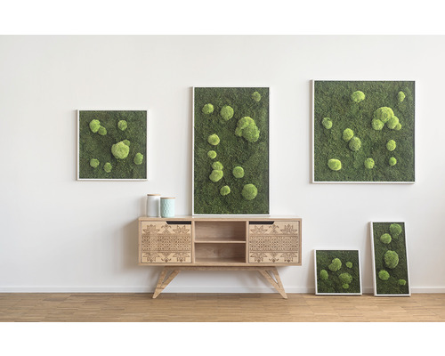 Obývací pokoj s mechovými obrazy v rámech a dřevěnou komodou se vzorem