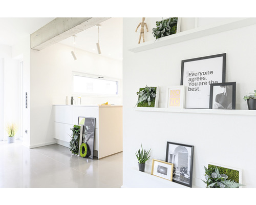 Světlý interiér s bílými stěnami, policemi s dekoracemi a rostlinnými obrazy