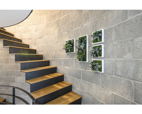 Schodiště s dřevěnými stupni a nástěnná dekorace s obrazy rostlin