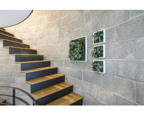 Schodiště s nástěnnou dekorací a obdélníkovými mechovými obrazy v rámu