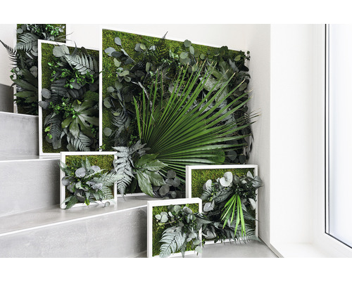 Mechové obrazy s různými druhy rostlin a bílými rámy na schodišti