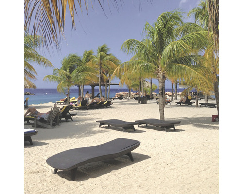 Plážová scéna s lehátky pod palmami u moře.