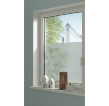 Okno s fólií pro ochranu soukromí, zdobené domy a vázami