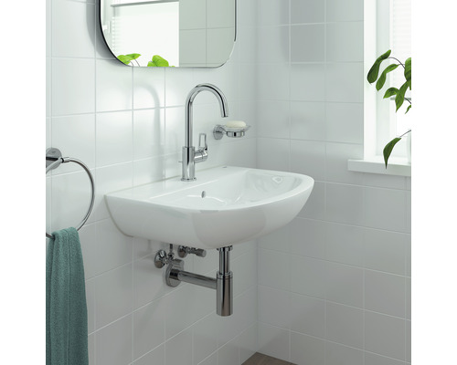 Závěsné umyvadlo v koupelně s baterií, mýdlenkou, kruhem na ručníky, zrcadlem a rostlinou