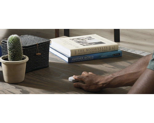 Dekorativní obývací pokoj s kaktusem, úložným košem, knihami a osobou ovládající chytré tlačítko