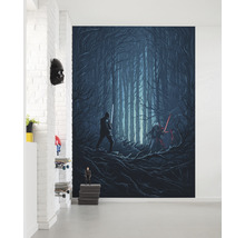 Fototapeta s motivem Star Wars, tmavá lesní scéna a světelné meče