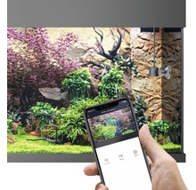 Akvárium s rostlinami, rybami, JUWEL SmartCam a chytrým telefonem
