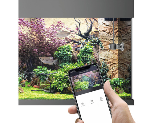 Akvárium s rostlinami, rybami, JUWEL SmartCam a chytrým telefonem