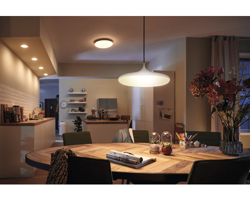 LED lustr Philips HUE 4076130P6 Cher 25W 3000lm 2200-6500K černý s dálkovým ovládáním - kompatibilní se SMART HOME by hornbach