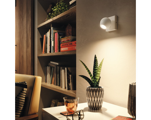 Obývací pokoj s knihovnou, pokojovou rostlinou a nástěnným svítidlem