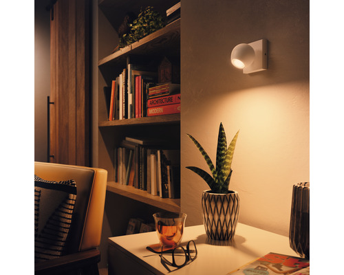 Obývací pokoj s regálem, křeslem, stolem, pokojovou rostlinou a nástěnnou lampou