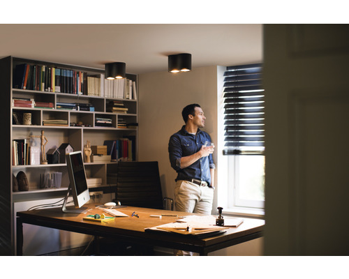 Světlá kancelář s psacím stolem, regálem a stropními svítidly