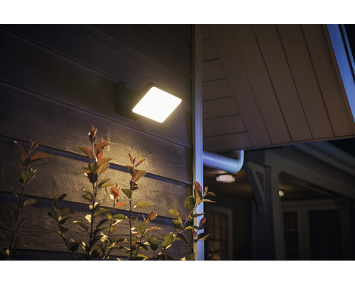 Venkovní nástěnné svítidlo na stěně domu s rostlinami v popředí