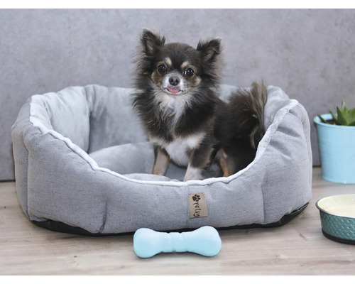 Malý pes v šedé psí posteli s hračkou ve tvaru kosti
