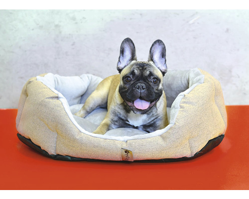Francouzský buldoček v pelíšku pro psy