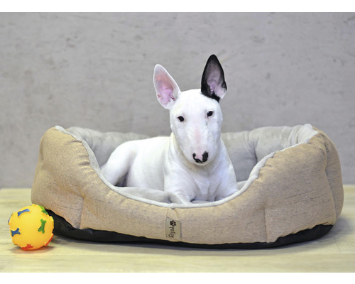 Bulteriér leží v pelíšku vedle míče