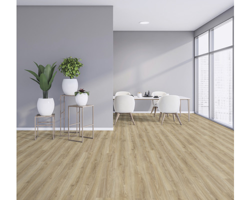 Světlá místnost s dřevěnou podlahou, jídelním stolem a pokojovými rostlinami