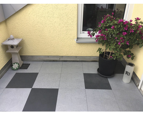 Terasa s dlažebními kostkami, rostlinou a dekoracemi.