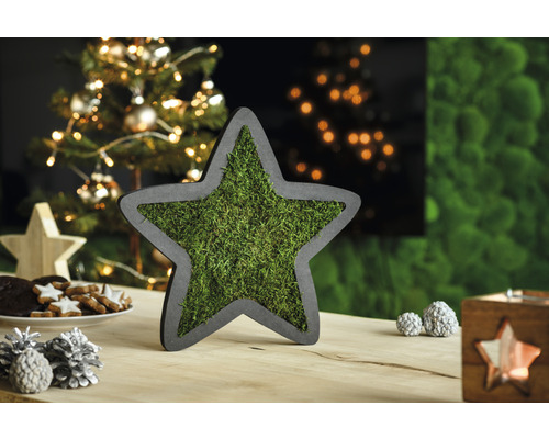 Dekorativní hvězda ze dřeva s mechovou výplní jako slavnostní dekorace stolu