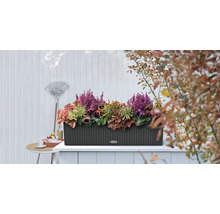 Květináč s různými rostlinami na terase