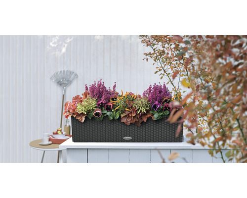 Květináč s různými rostlinami na terase