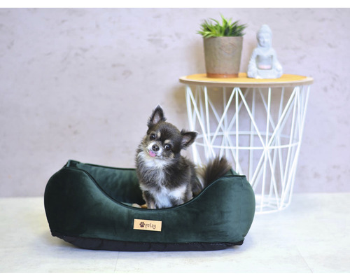 Pes v zelené psí posteli vedle konferenčního stolku s dekorací