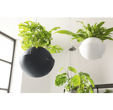 Závěsné květináče s různými rostlinami